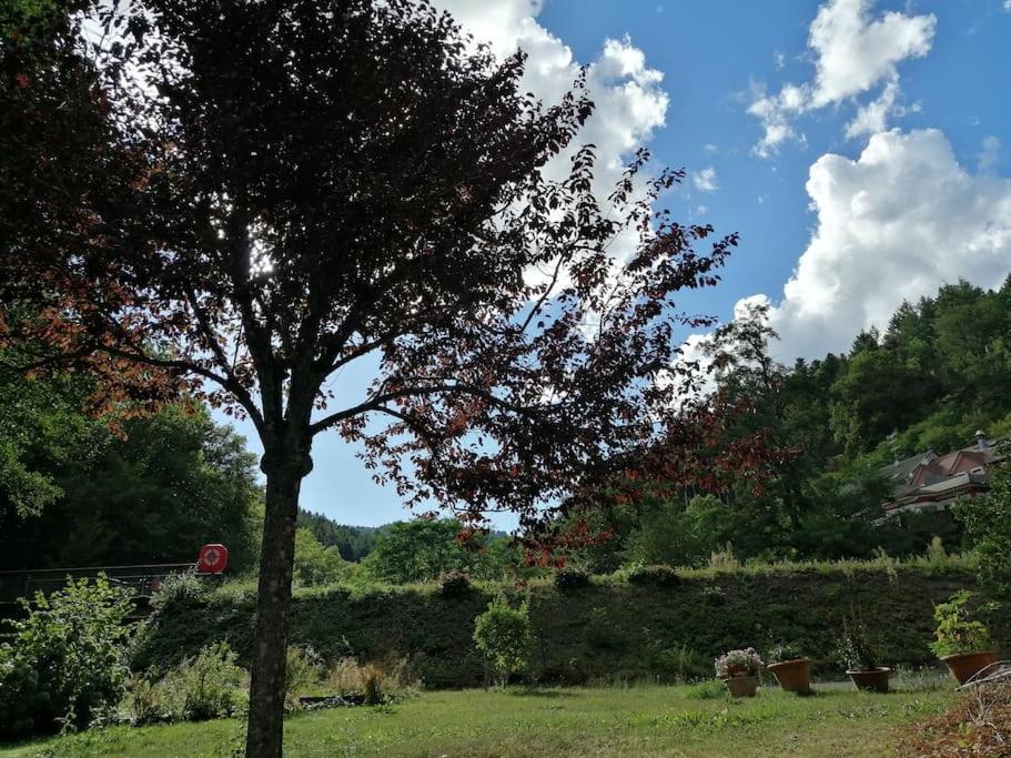 Appartement Entier Dans Un Ecrin De Verdure Thann Exterior photo