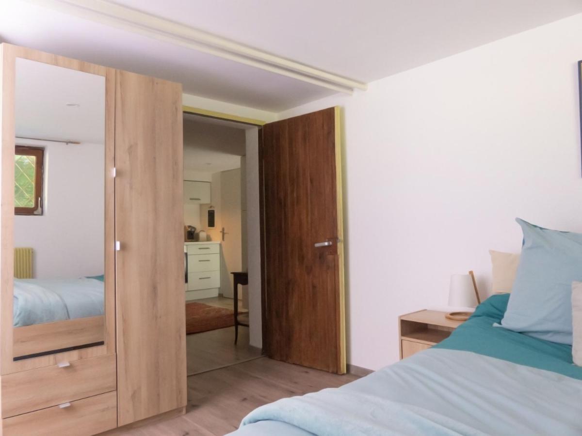 Appartement Entier Dans Un Ecrin De Verdure Thann Exterior photo